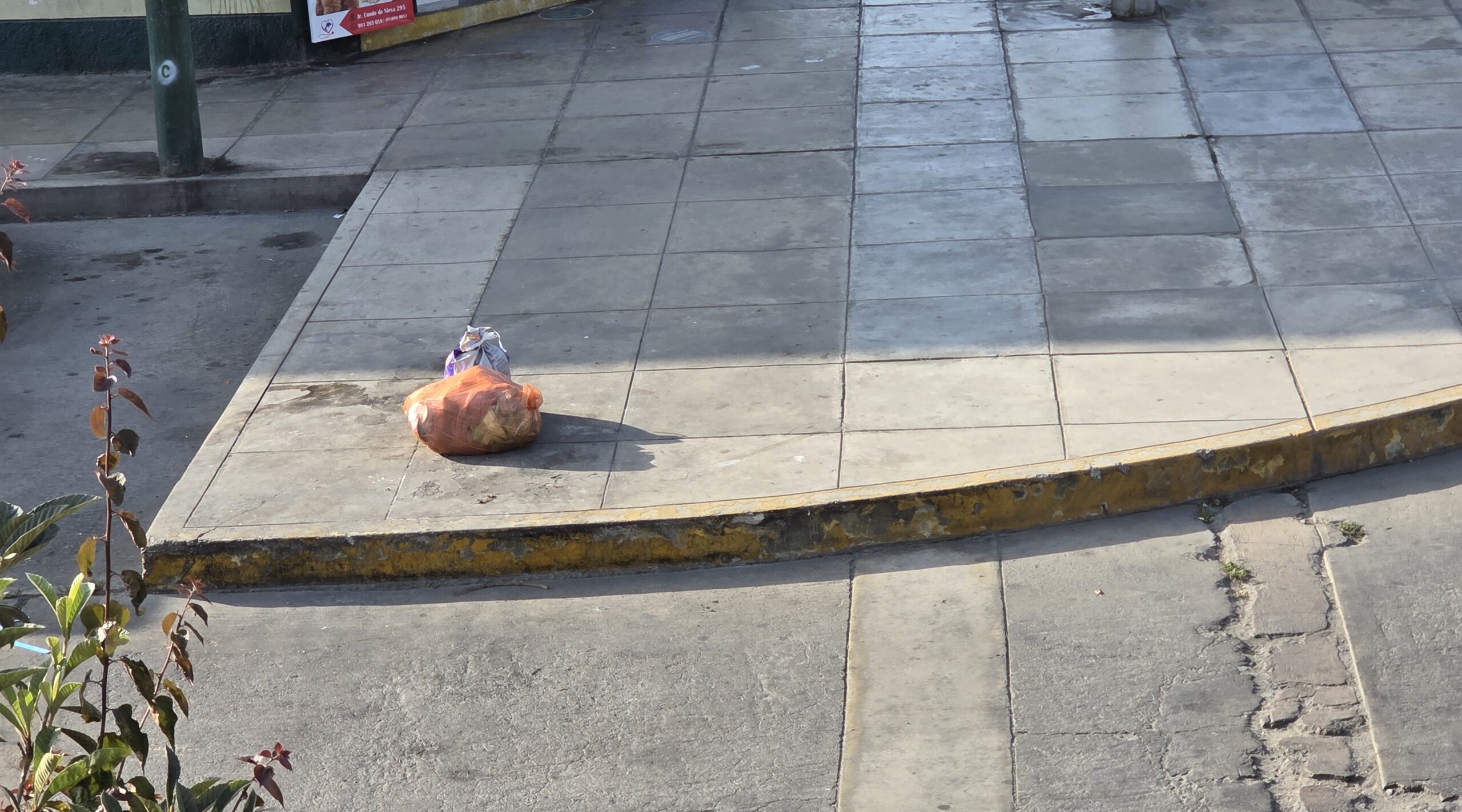 Garbage Collection in Peru